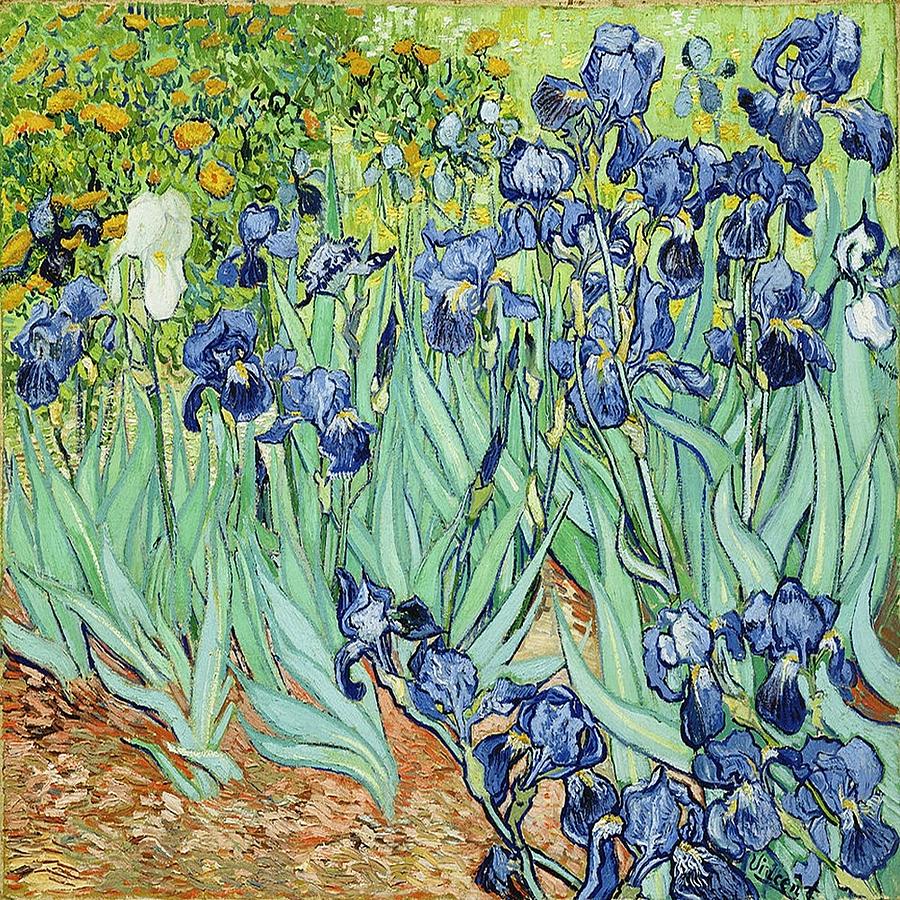 Van Gogh Irises II Painting by Florene Welebny
