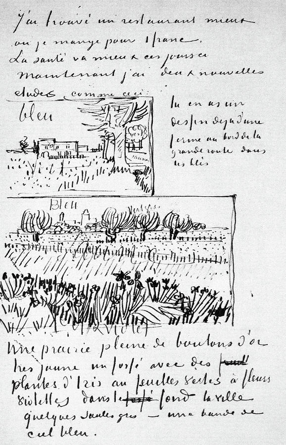 Van Gogh Letter, 1888 Painting by Granger