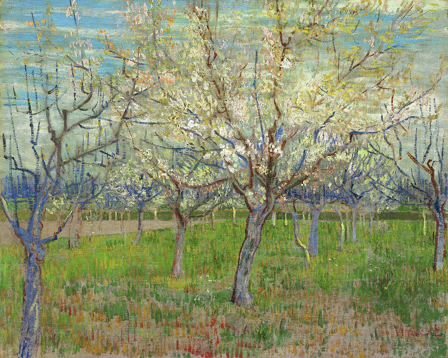 Van Gogh Orchard, 1888 Painting by Granger