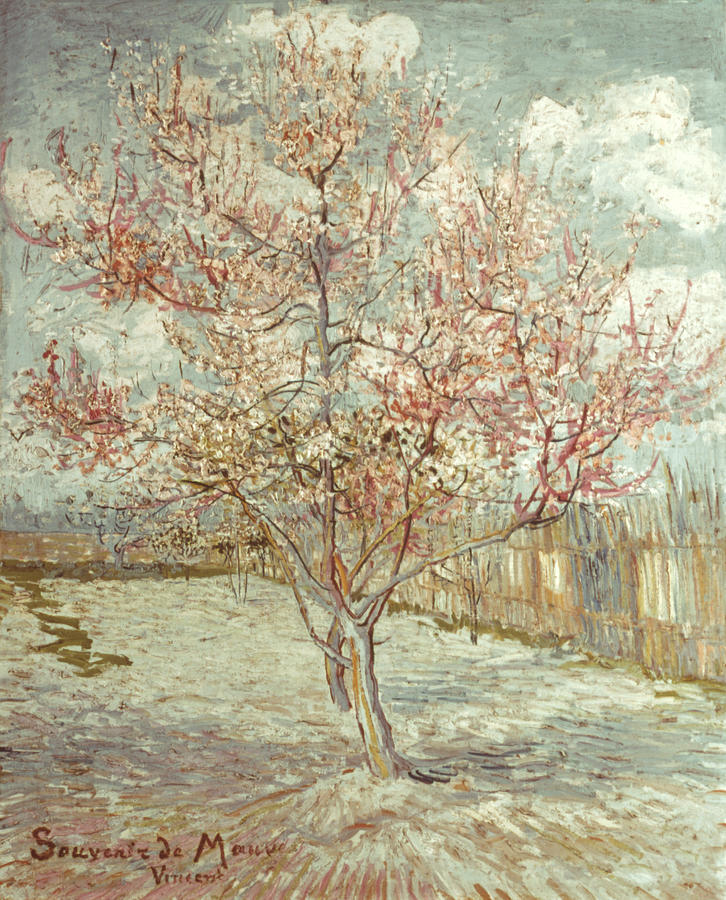 Van Gogh Peach Tree, 1888 Painting by Granger