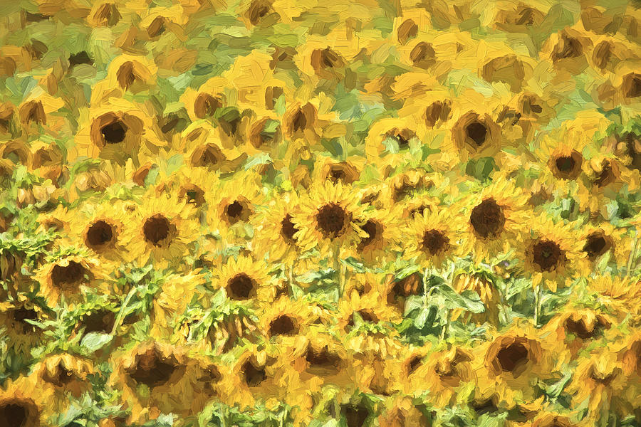Van Gogh Sunflowers Painting By David Letts