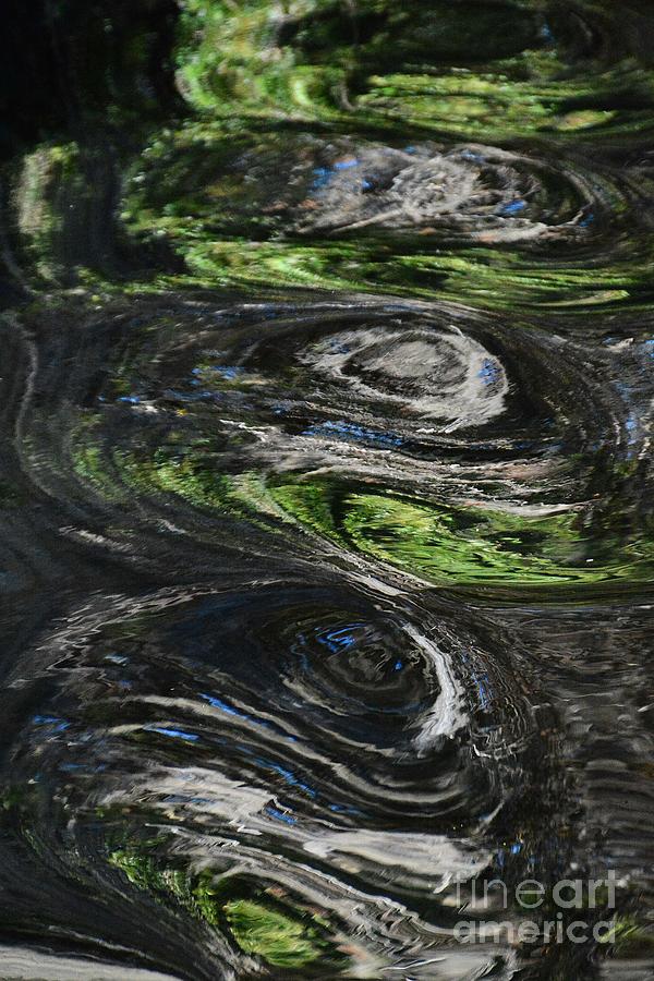 Van Gogh Swirls Photograph by Cindy Manero