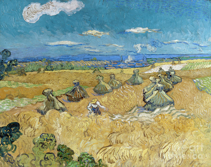 Van Gogh Wheatfields Painting by Granger