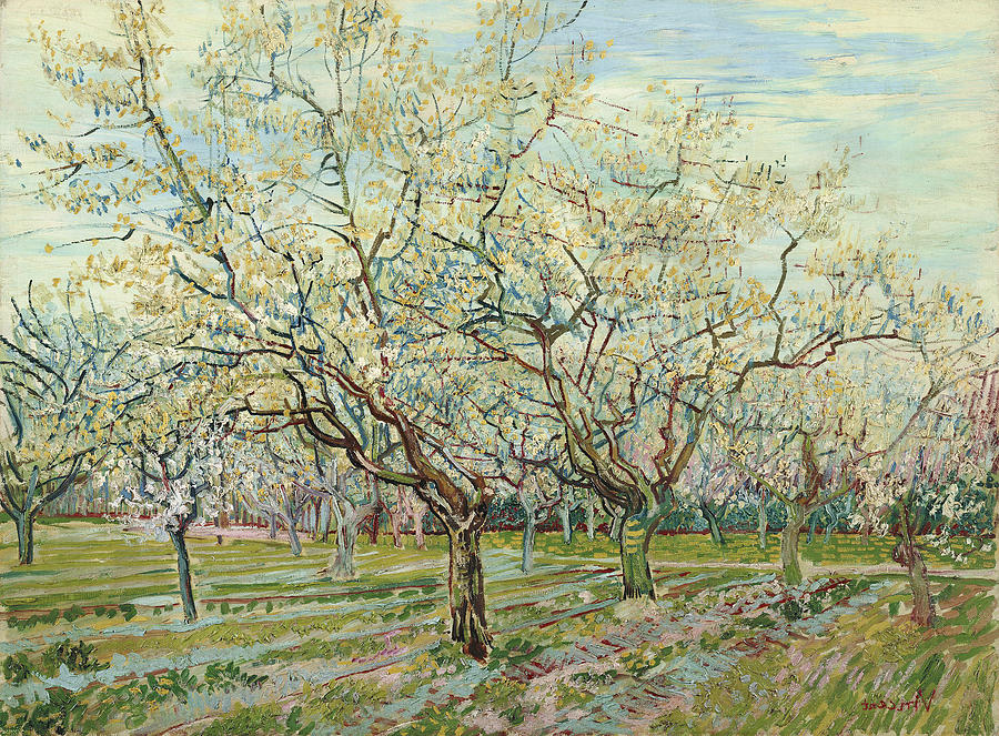 Van Gogh White Orchard Painting by Granger