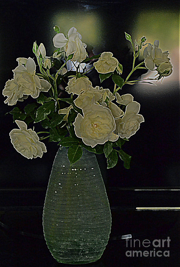 Van Goughs White Roses Photograph by Diane montana Jansson