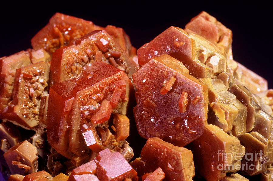 Vanadinite From Mibladen Morocco Photograph by Joel Arem