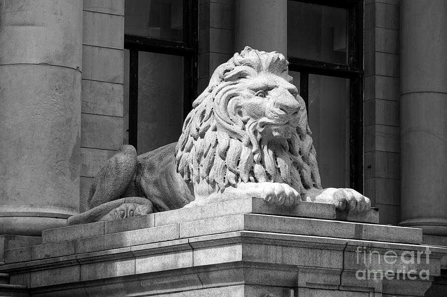 Vancouver Art Gallery Lion Photograph by John  Mitchell