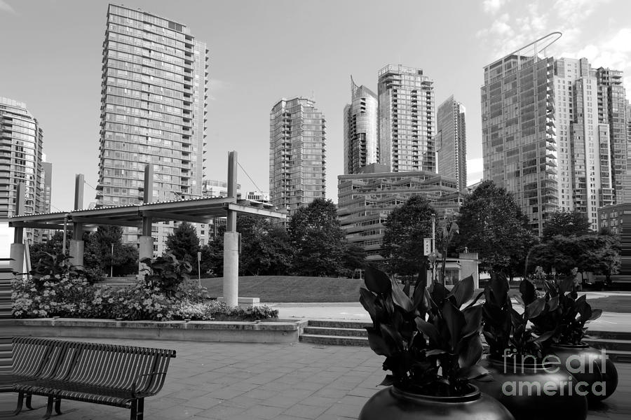 Black And White Photograph - Vancouver Canada skyscrapers and park by Bill Cobb