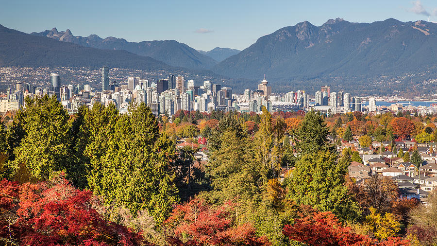 Vancouver City showing its Autumn Colors Photograph by Pierre Leclerc Photography
