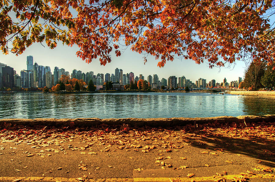 Vancouver fall colours Photograph by Ann Badjura | Fine Art America