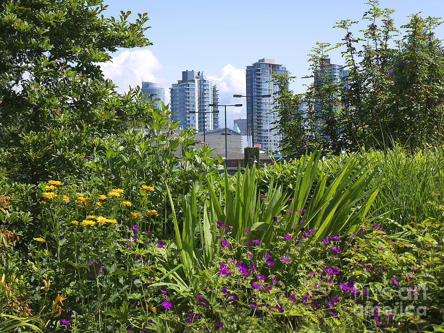 Vancouver Garden Photograph by Brenda Kean