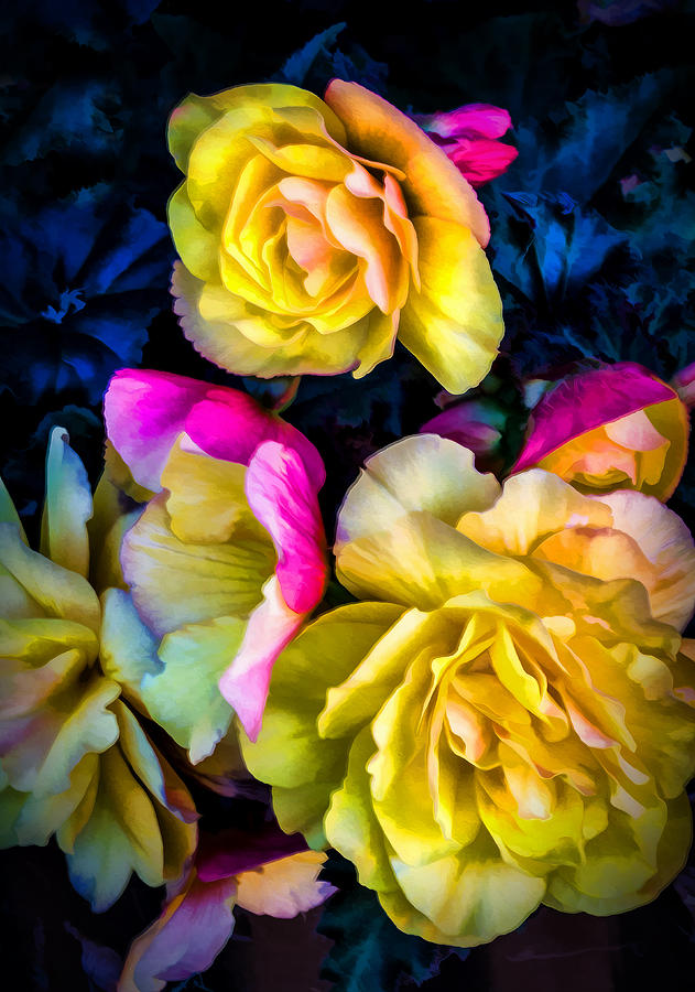 Vancouver Island Roses Digital Art by Georgianne Giese