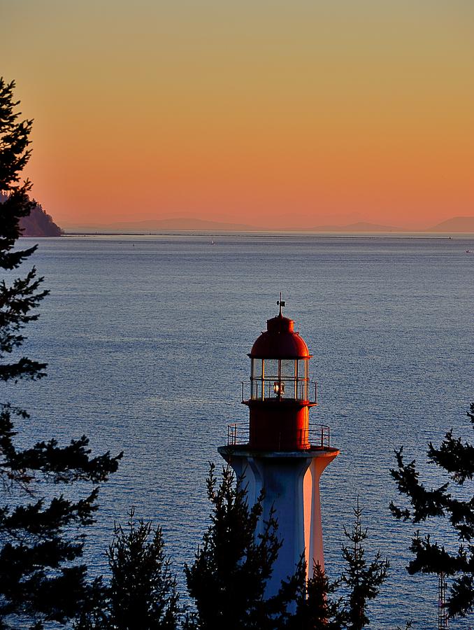 Vancouver Lighthouse Park Photograph by Steven Richman