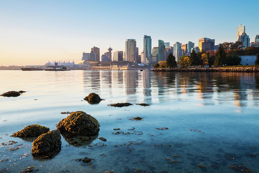 Vancouver Skyline At Stanley Park Photograph by Wan Ru Chen