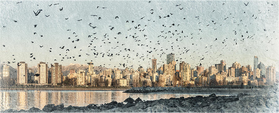 Vancouver skyline with crows Photograph by Peter V Quenter