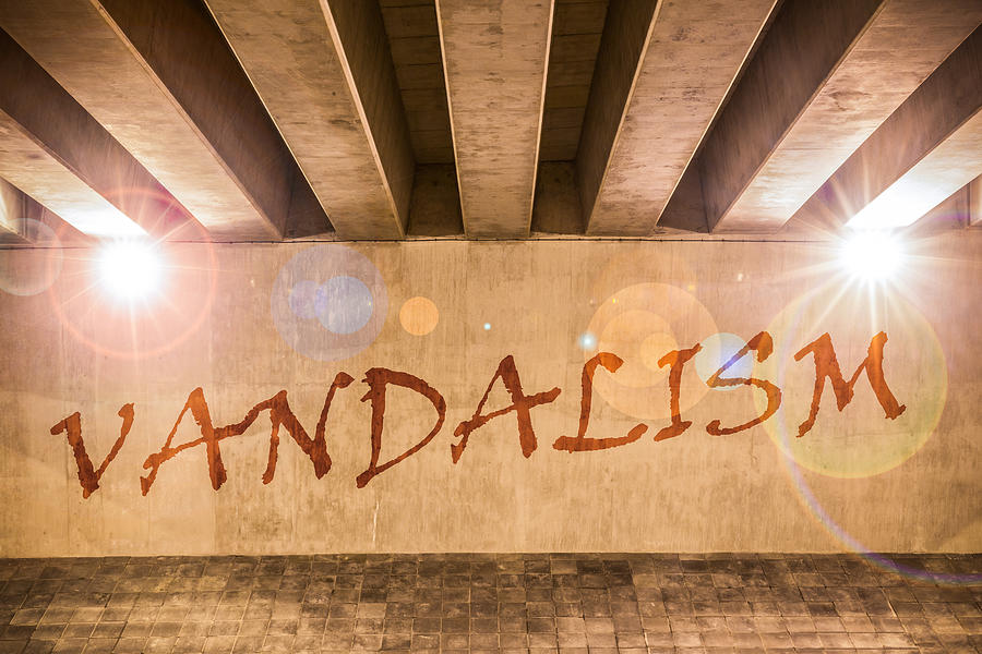 Vandalism Photograph by Semmick Photo
