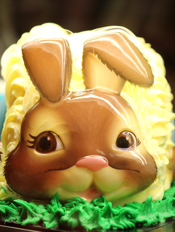 Easter Photograph - Vanilla Bunny Cake by The Art Of Marilyn Ridoutt-Greene