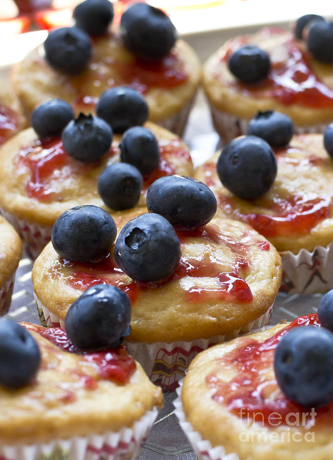 Vanilla Cupcakes with Fresh Blueberries II Photograph by Maria Janicki