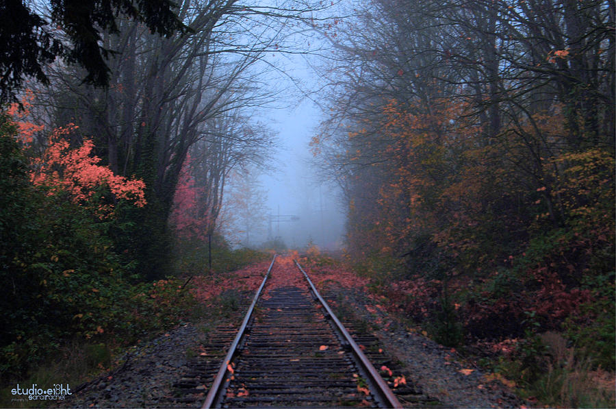 Fine Art America Photograph - Vanishing Autumn by Sarai Rachel Fine Art America Photograph - Vanishing Autumn by Sarai Rachel