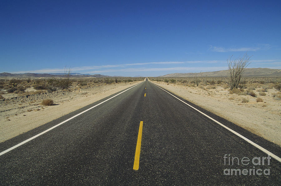 Vanishing Point, Sonoran Desert, Ca Photograph by Gregory G. Dimijian, M.D. Vanishing Point, Sonoran Desert, Ca Photograph by Gregory G. Dimijian, M.D.