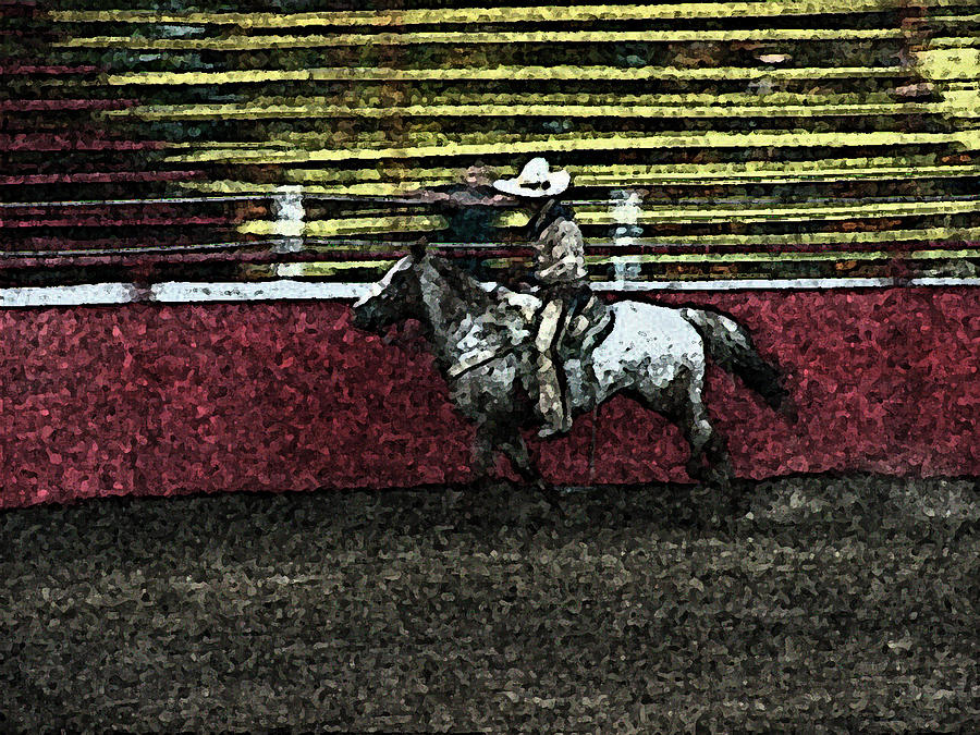 Vaquero number 1 Rodeo Chandler Arizona 2002 Photograph by David Lee Guss