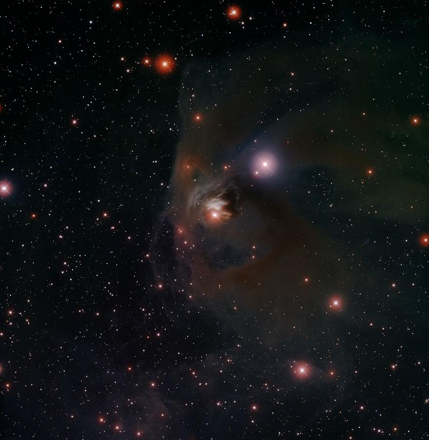 Variable Star T Tauri Photograph by Celestial Images