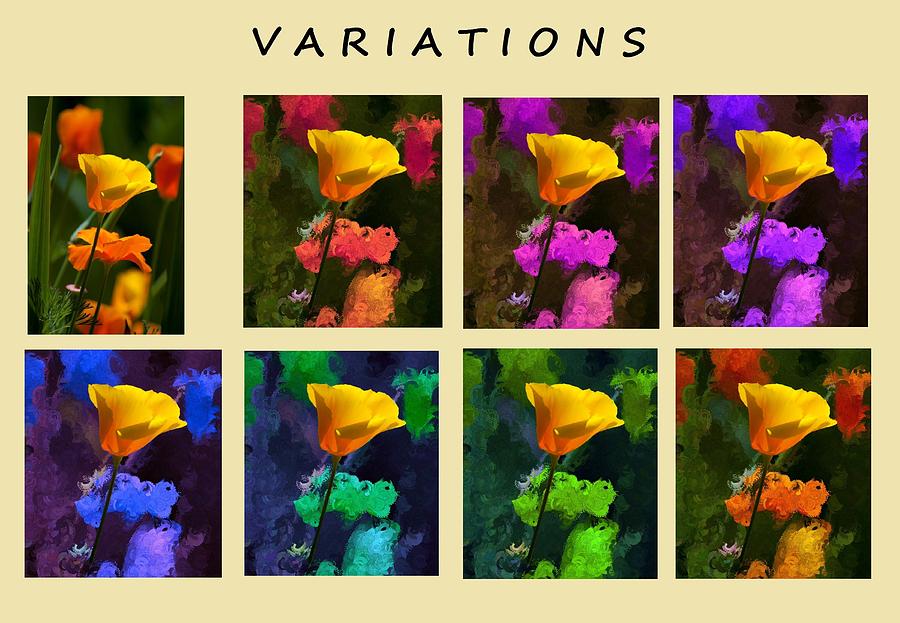 Poppy Painting - Variations by Bruce Nutting