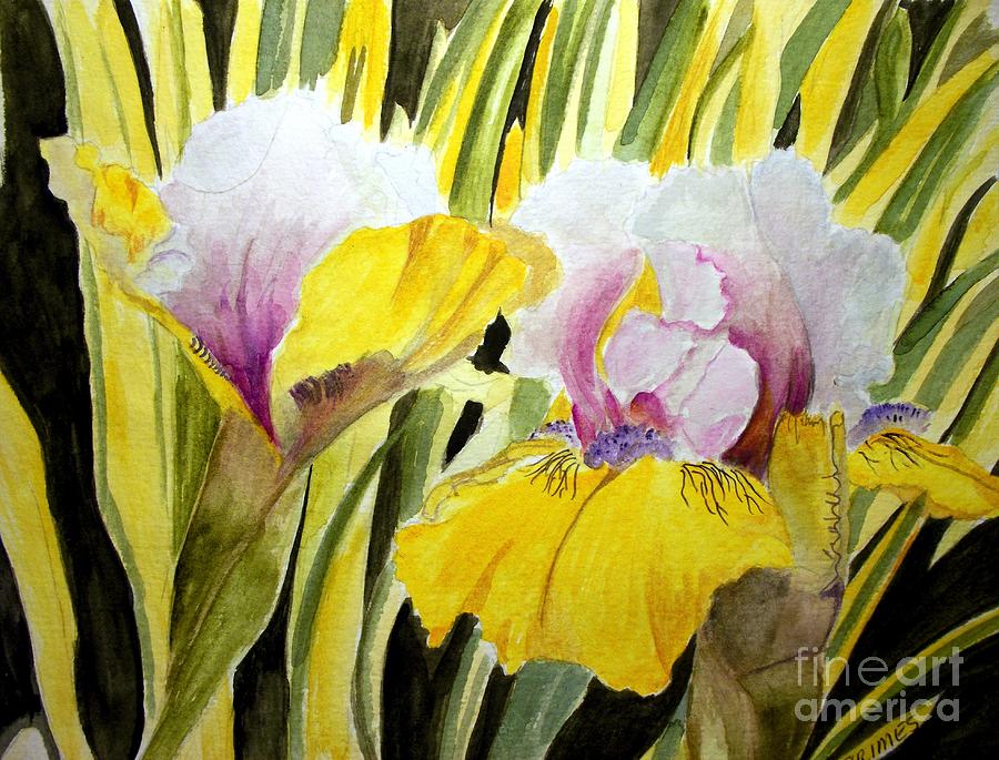 Variegated Iris Painting by Carol Grimes
