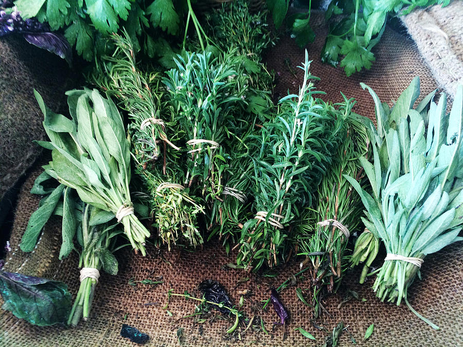 Variety of herbs Photograph by Geri Lavrov