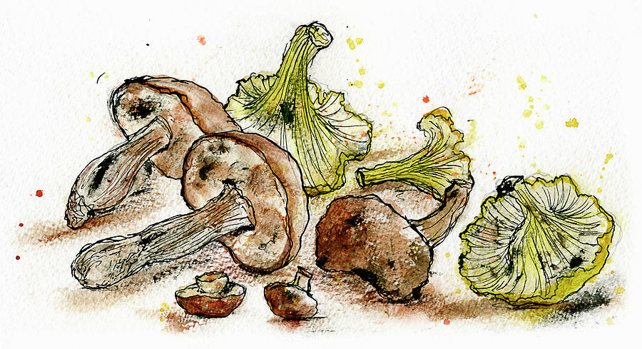 Variety Of Wild Mushrooms Painting by Ikon Ikon Images