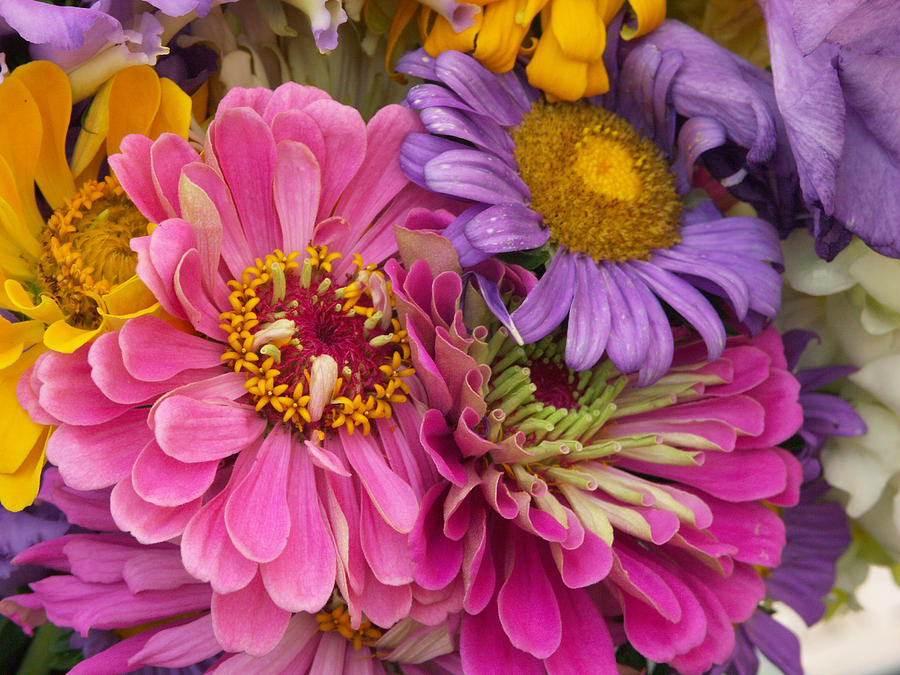 Various Flowers Photograph by Bonnie Sue Rauch