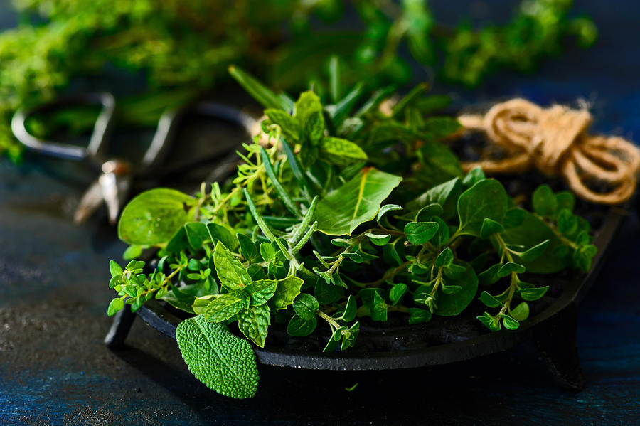 Various fresh herbs Photograph by Aniko Hobel
