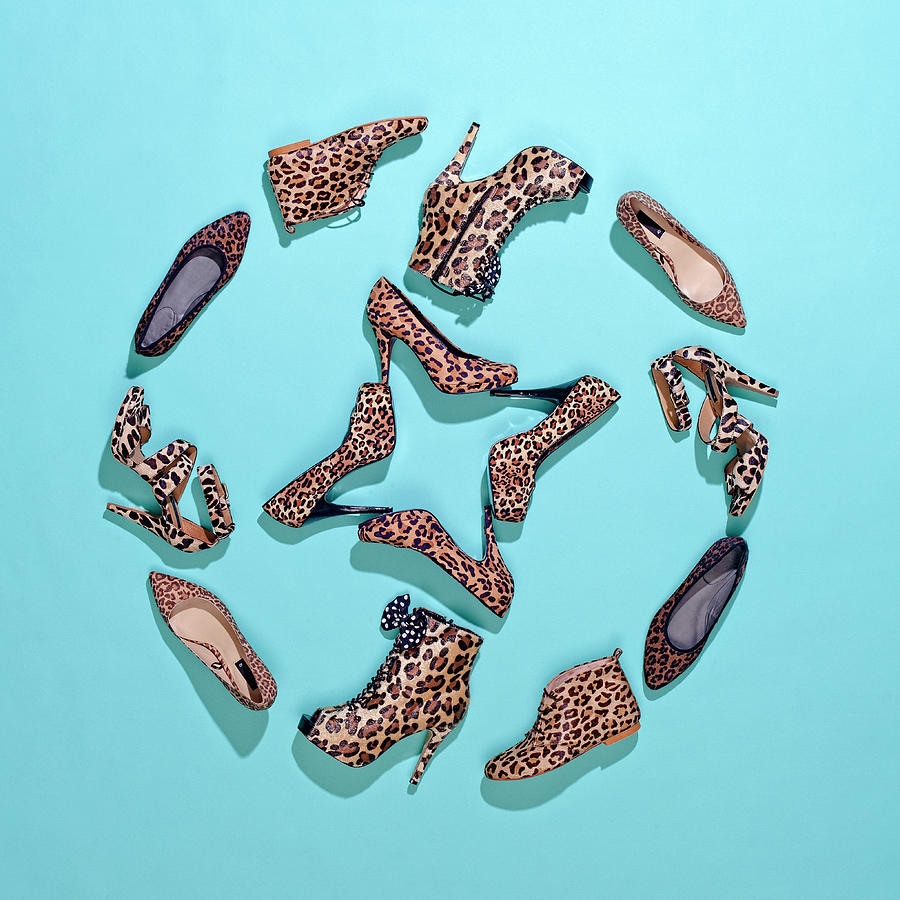Various Leopard Print Shoes Arranged In Photograph by Fstop Images - Larry Washburn