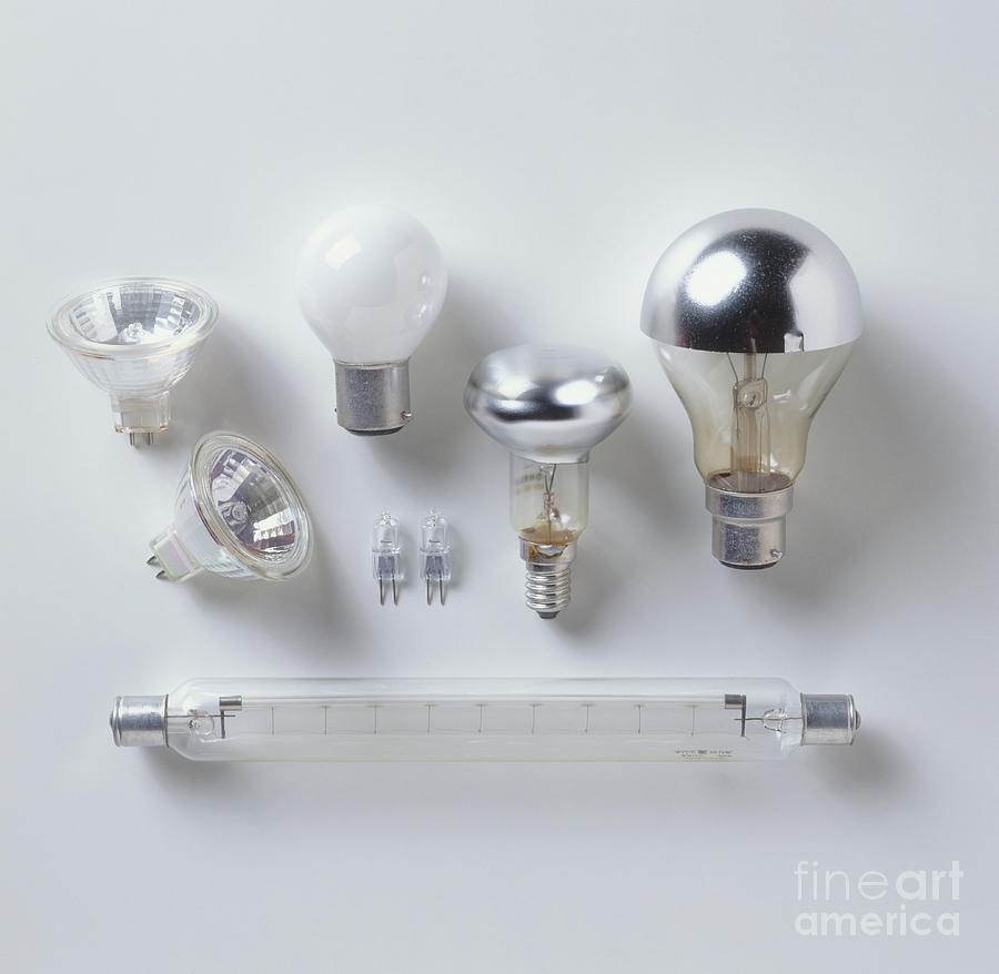 Various Lightbulbs Photograph by Matthew Ward / Dorling Kindersley