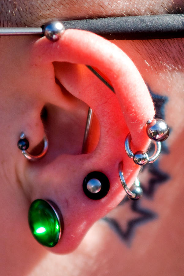 Various types of ear piercing Photograph by Tristan Savatier