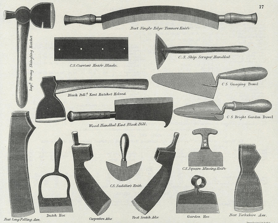 Various Types Of Knife, Adze, Axe Drawing by Mary Evans Picture
