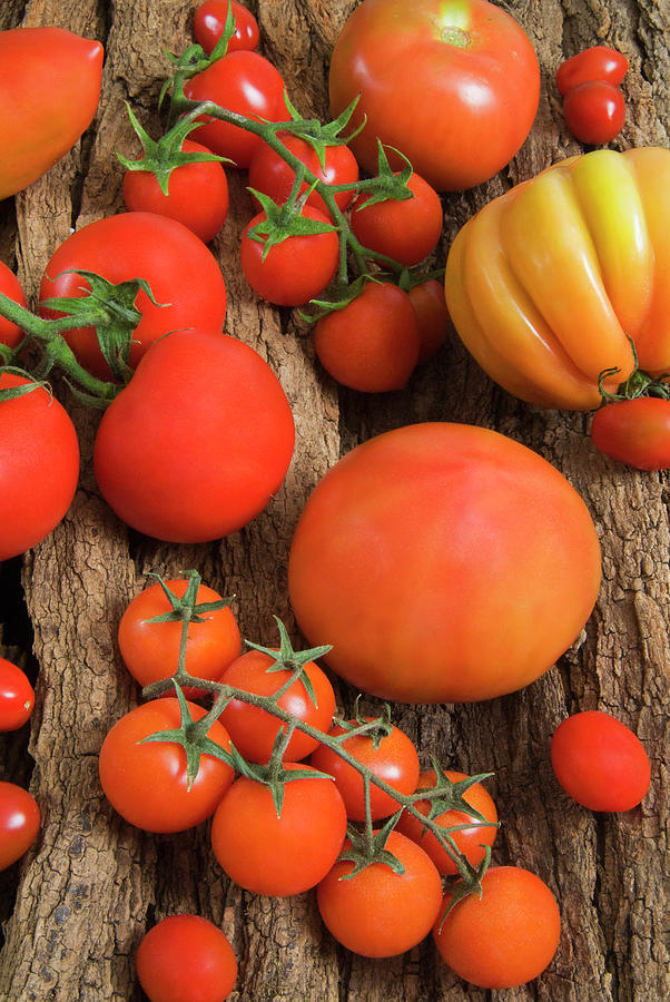 Various Types Of Tomatoes On A Bark Photograph by Nico Tondini
