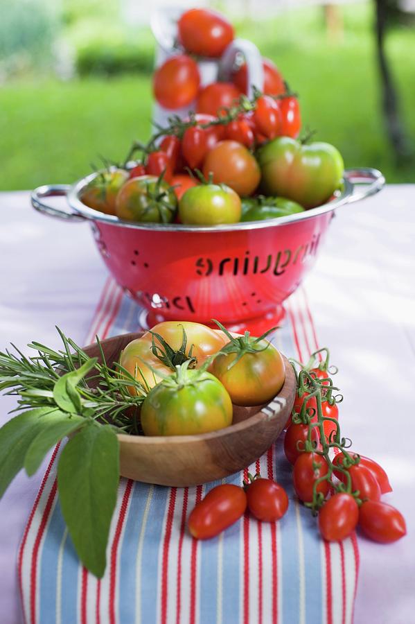Still Life Photograph - Various Types Of Tomatoes On Table Out Of Doors by Foodcollection
