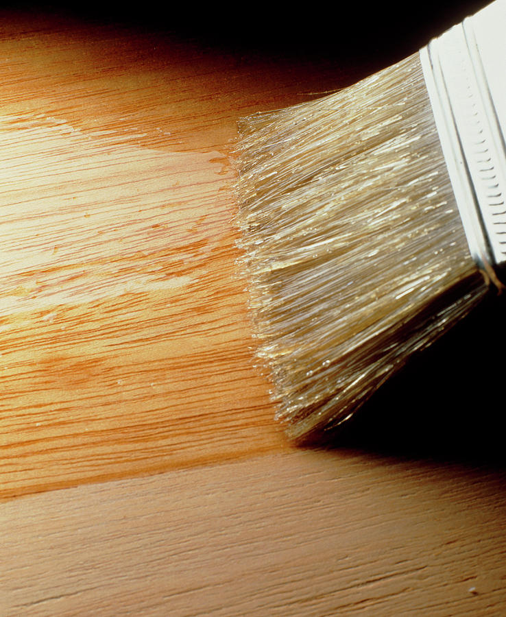 Varnish Being Brushed Onto Wooden Surface Photograph by Tim Hazael/science Photo Library