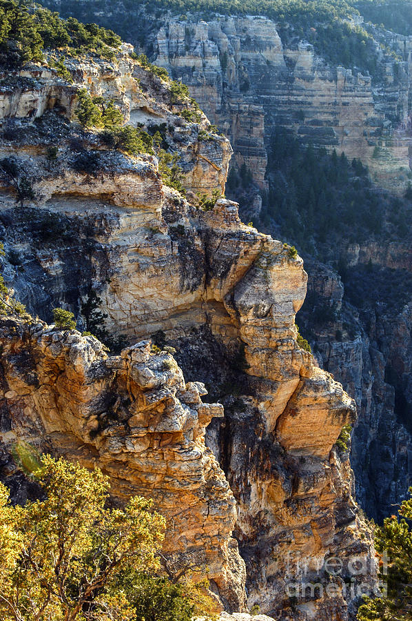 Grand Canyon National Park Photograph - Varying Colors at Dawn by Bob Phillips