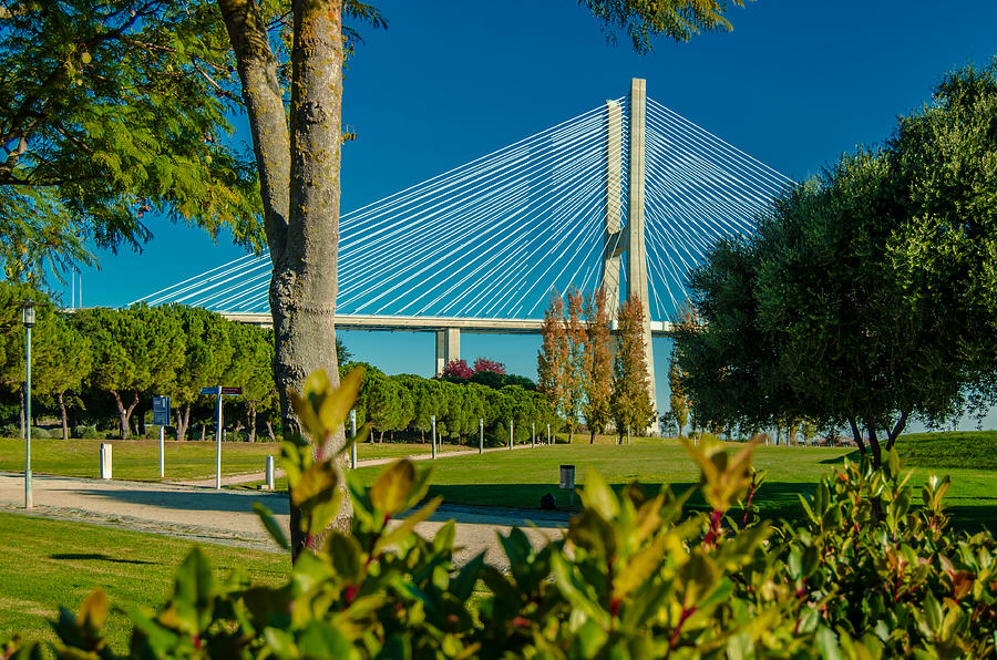 Nature Photograph - Vasco Da Gama Bridge III by Alexandre Martins