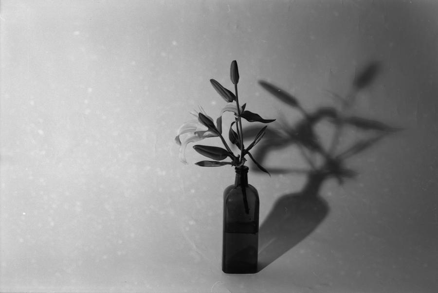 Vase and Flower Photograph by Penelope Aiello