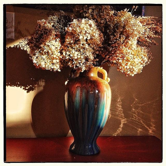 Stilllife Photograph - Vase And Flowers Still Life by Paul Cutright