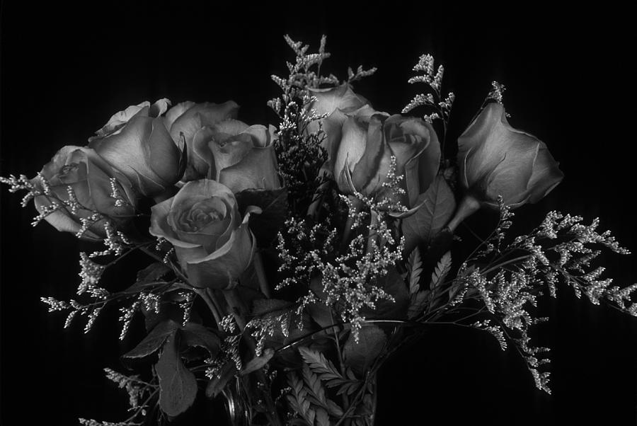 Vase of Roses in Black and White Photograph by Keith Gondron