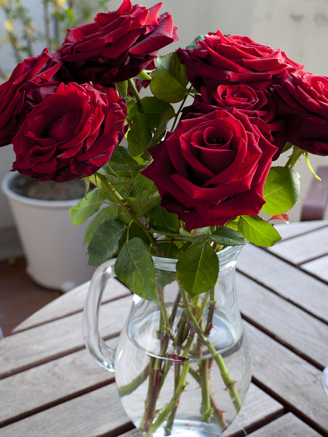 Flower Photograph - Vase of Roses by Rae Tucker