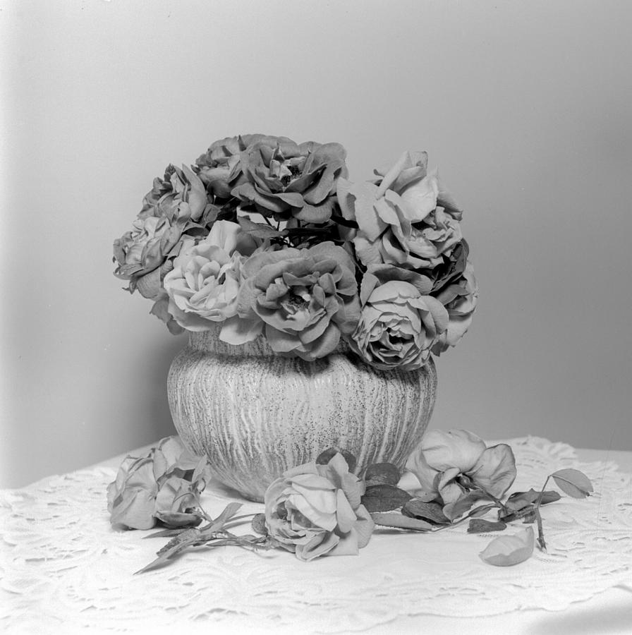 Vase Of Roses Photograph by William Haggart
