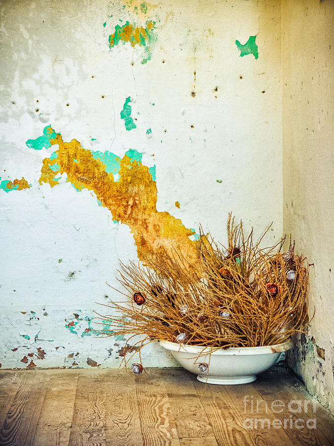 Vase on wooden floor Photograph by Silvia Ganora