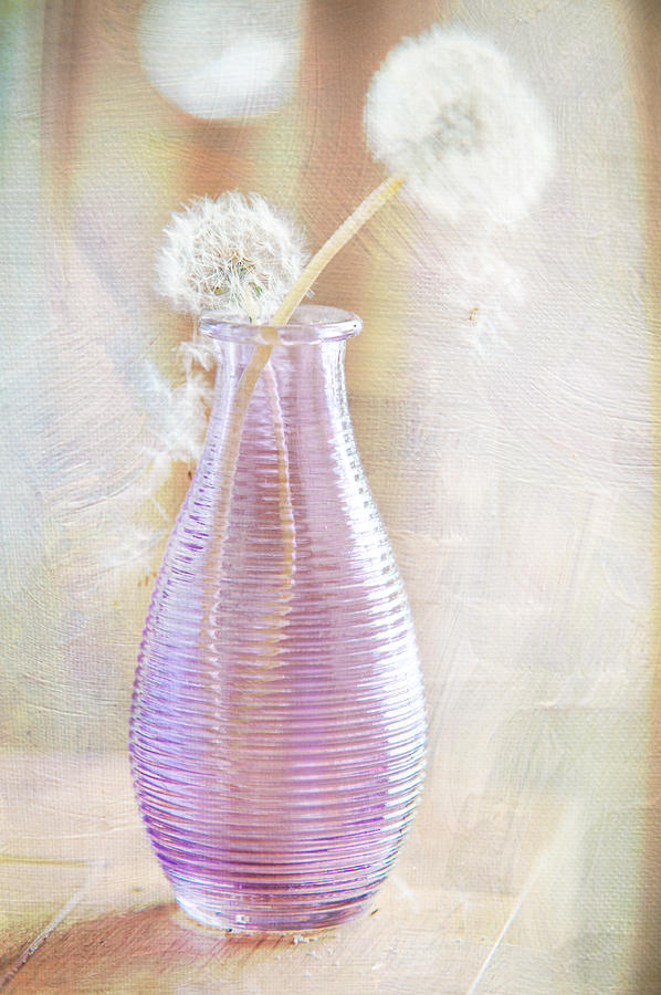 Vase with Dandelions Photograph by Jenny Rainbow