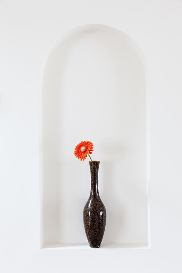 Vase with red flower Photograph by Alexey Stiop