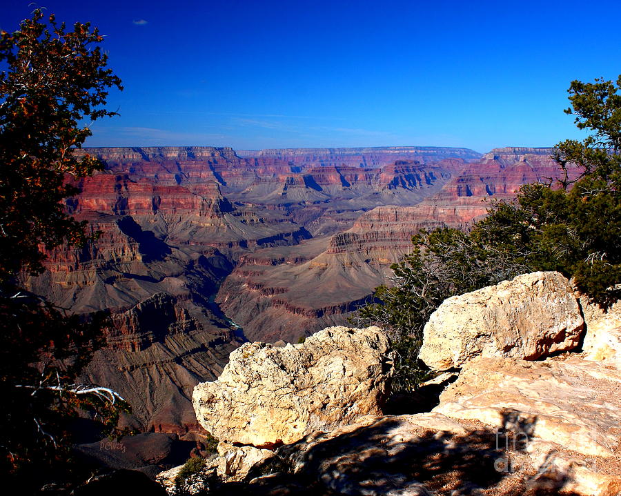Vast Grand Canyon Photograph by Patrick Witz